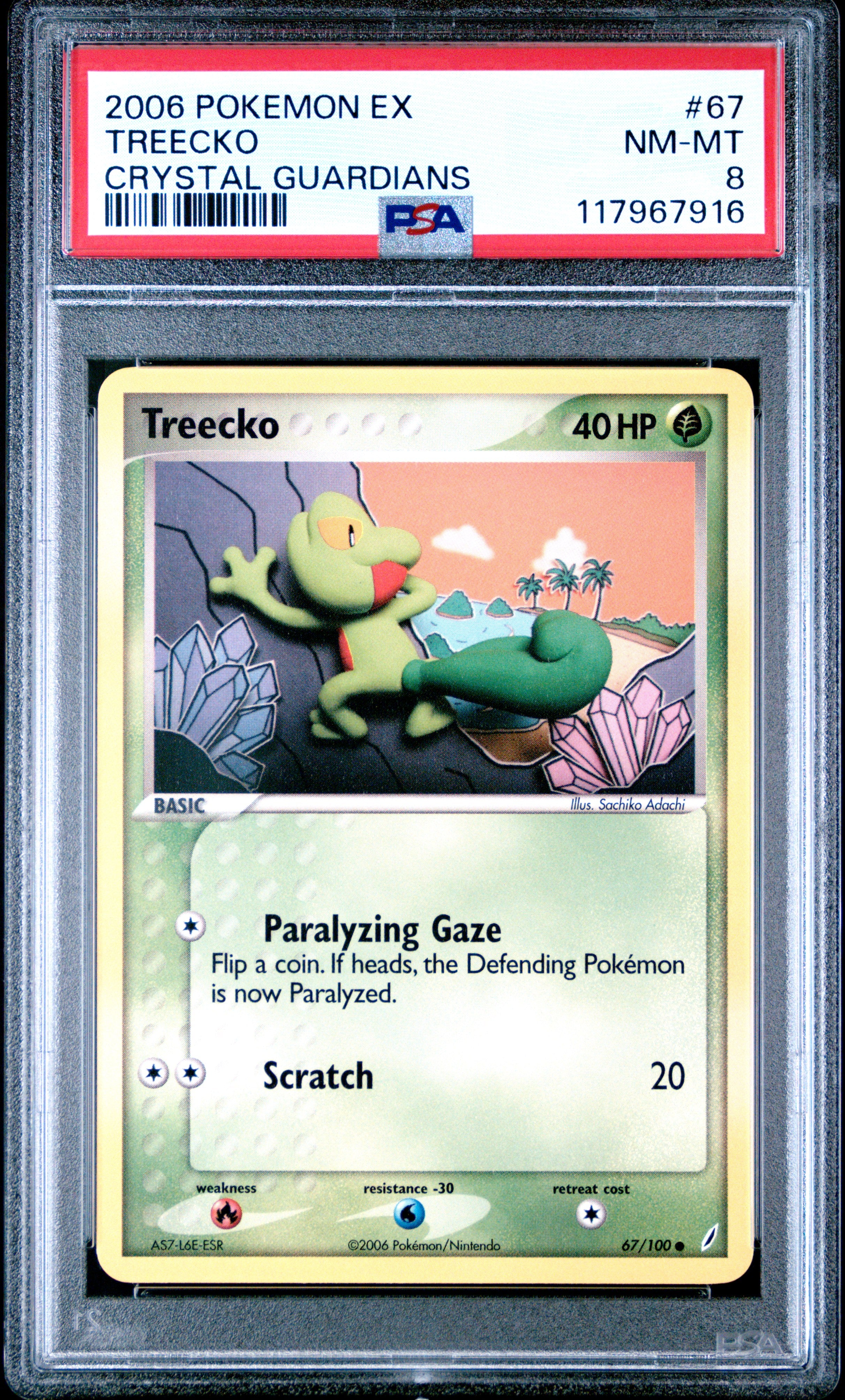Pokemon Ex Crystal Guardians 67 Treecko PSA 8 NM-MT Cert #117967916