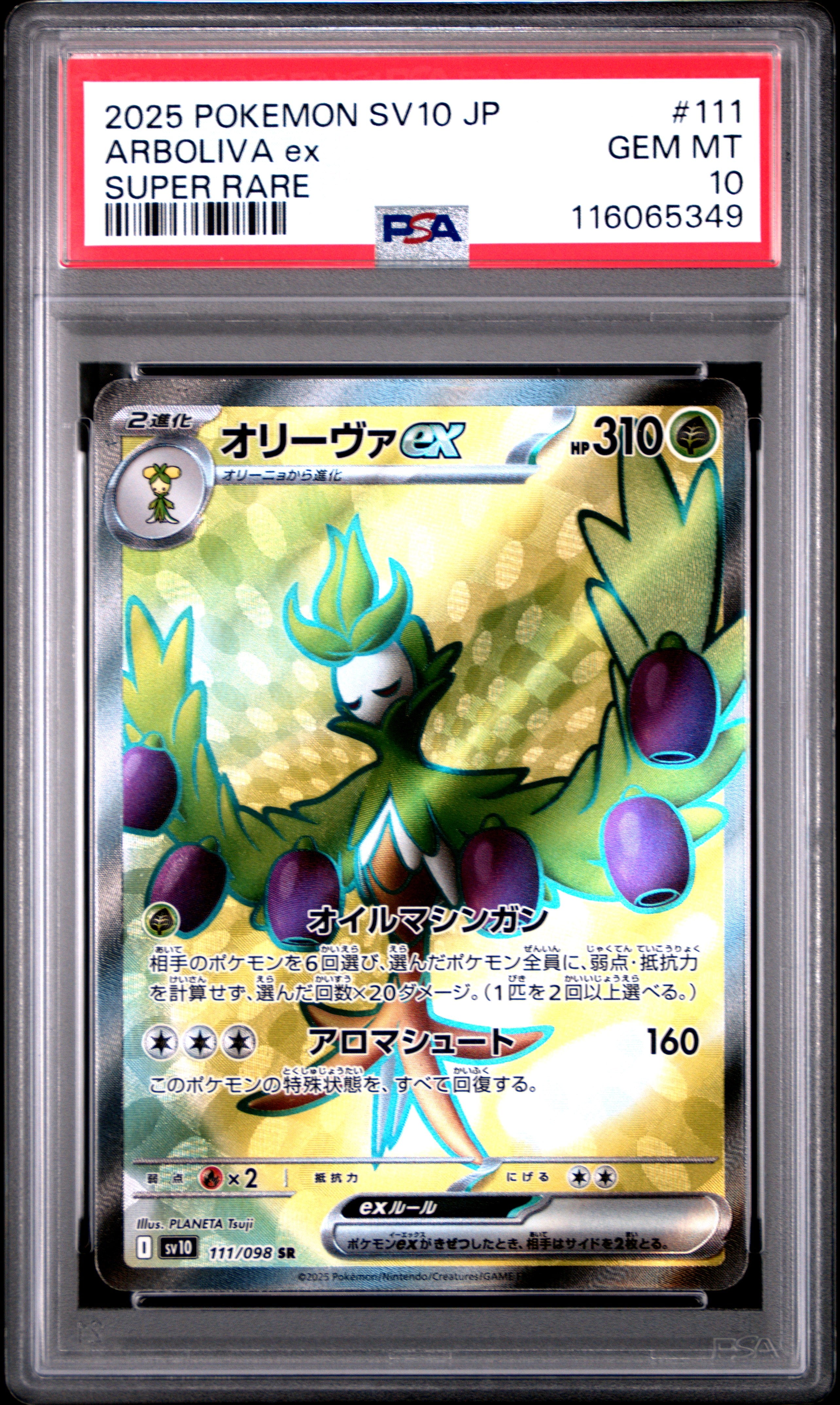 Pokemon Japanese Sv10 Glory Of Team Rocket 111 Arboliva Ex Super Rare PSA 10 GEM MINT Cert #116065349